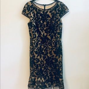 Tadashi Shoji Cocktail Dress